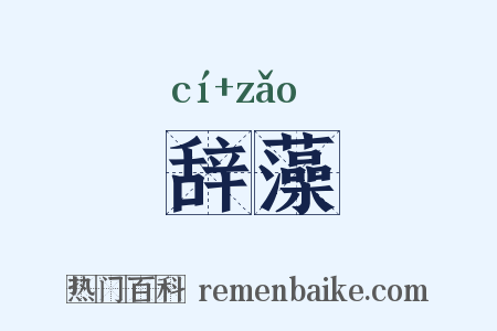 辞藻是什么意思的图片